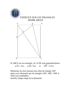EXERCICE SUR LES TRIANGLES