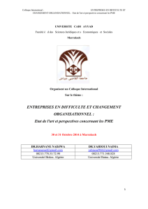 PME en Algérie : perspectives et réalités