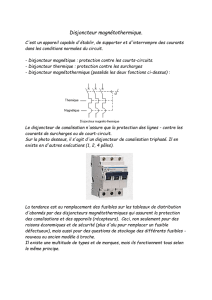 Disjoncteur magnétothermique