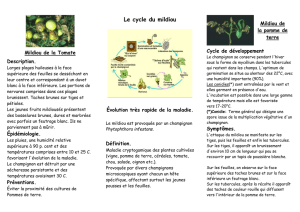 le-mildiou-1 - Groupe des Guides Composteurs d`Oupeye