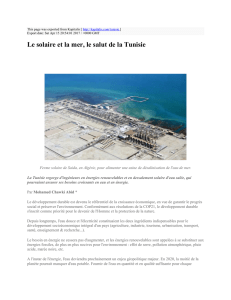 Le solaire et la mer, le salut de la Tunisie : Kapitalis : http://kapitalis