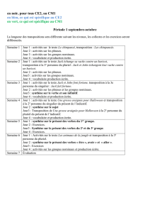 en noir, pour tous CE2, au CM1 en bleu, ce qui est spécifique au