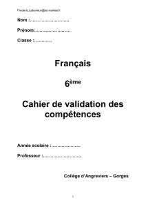 Cahier de compétences