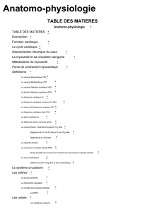 anatomie_et_physiologie_cardiaque_Anatomo