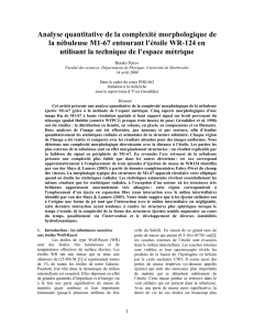 Structure de la nébuleuse M1-67 entourant l`étoile WR 124 en