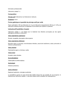 Information professionnelle Céfuroxime Labatec® i.v. Composition