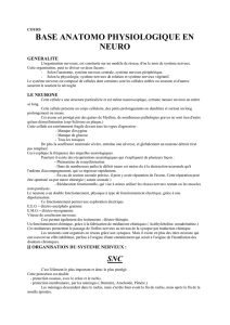 BASE ANATOMO PHYSIOLOGIQUE EN NEURO