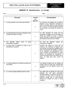 Annexe 19 : Questionnaire