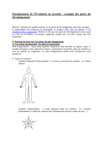 Les gènes du développement