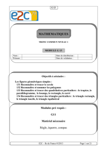 module g 13