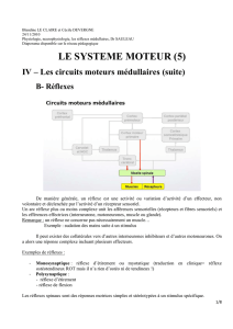 Blandine LE CLAIRE et Cécile DEVERGNE 24/11/2010 Physiologie