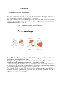 UV_105_PHYS_EXERC_ECG_DEMONIERE