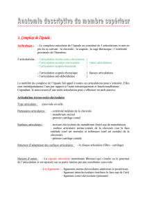 Résumé MS (arthro + fct) (Frédéric)