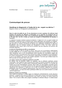 Pro Infirmis Vaud, modèle direction PI verticale - info