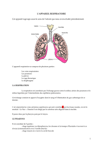 l`appareil respiratoire - Univ