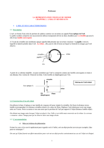 L`oeil et ses défauts - Académie de Nancy-Metz