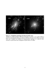 Figure 6-1 : Simulations numériques des halos de matière noire