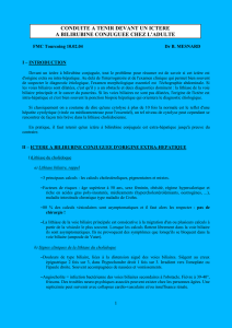 FMC Tourcoing 10.02.04 Dr B. MESNARD I – INTRODUCTION