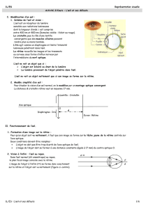 1L/ES Représentation visuelle Activité.3/Cours : L`œil et ses défauts