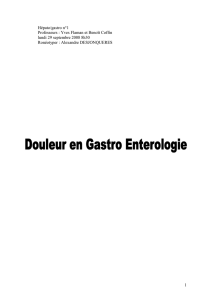 H&eacute;pato/gastro n&deg;1
