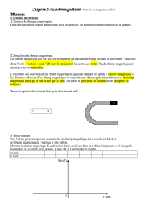 Champ magnétique - morissonphysique