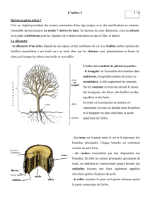L`arbre - Alain Granier