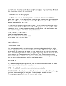 Exploitation durable des forêts : des produits pour aujourd`hui et
