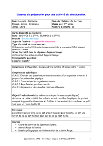 Canevas de préparation pour une activité de structuration