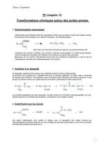 Transformations chimiques autour des acides aminés