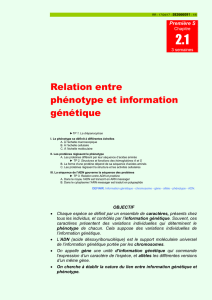 Relation entre phénotype et information génétique