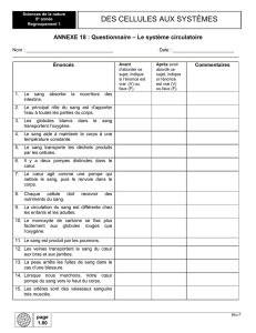 Annexe 18 : Questionnaire