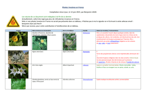 doc - Accueil du Site de Benjamin LISAN