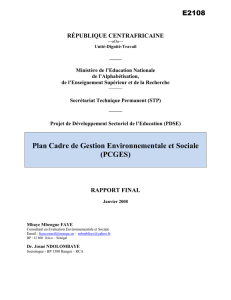 4. impacts environnementaux et sociaux du pdse