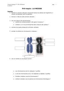 1 Cours de biologie 2nde CSS. M Mercier page La méiose/ Pré