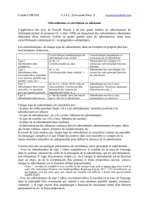 Subordination et corrélation en allemand