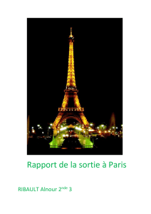 Paris vu par Alnour Ribault