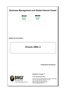 Programme de la formation intitulée : Oracle DBA 2