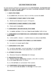 1. Fontions du nom
