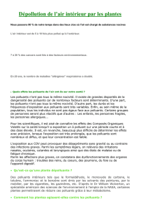 Dépollution de l`air intérieur par les plantes Nous passons 80 % de