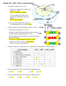 Devoir : partie A (p