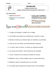 analyse grammaticale 02 sujets-verbes-COD-CC