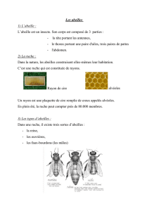 Les abeilles - Enseignons.be