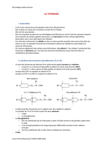 II. Synthèse des hormones thyroïdiennes (T3 et T4)