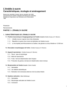 L`érable à sucre : Caractéristiques, écologie et - Agri