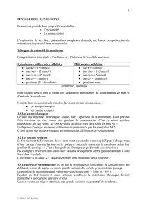 physiologie du neurone