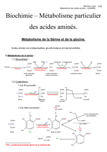 1/32 BiochAA. cours Métabolisme des acides aminés – LEMAIRE
