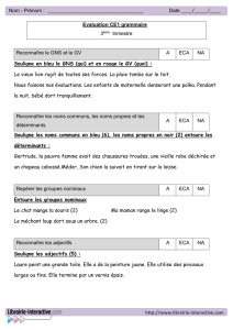 Evaluation CE1 grammaire - Librairie