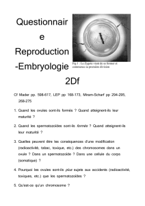 Quest embryologie 2Df