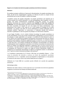 RAPPORT SUR LA SITUATION DES DROITS DES PEUPLES