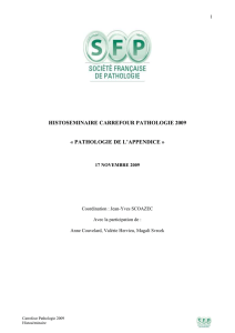 hand out histoséminaire appendice